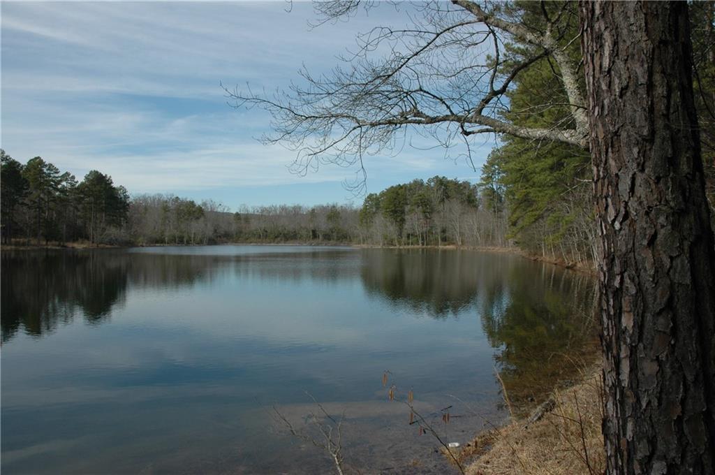 257 Chalmers Mountain Road - Photo 1