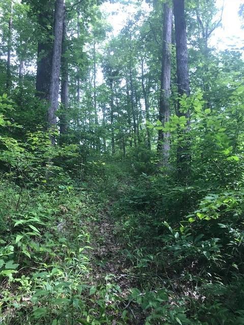 00 Manitowoc Road - Photo 1