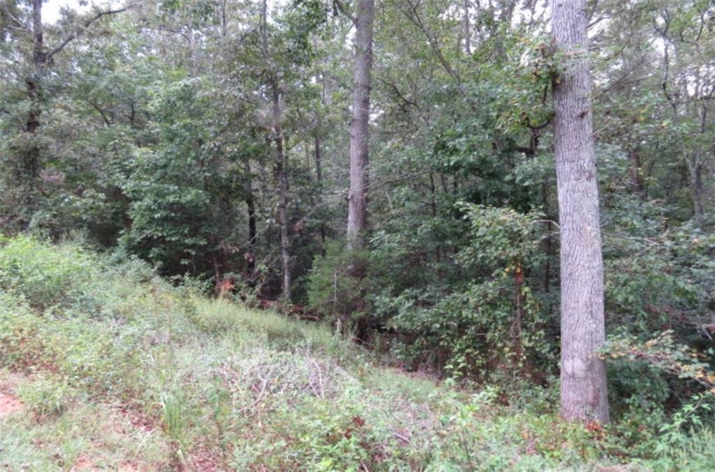 7 B Country Glen Lane - Photo 1
