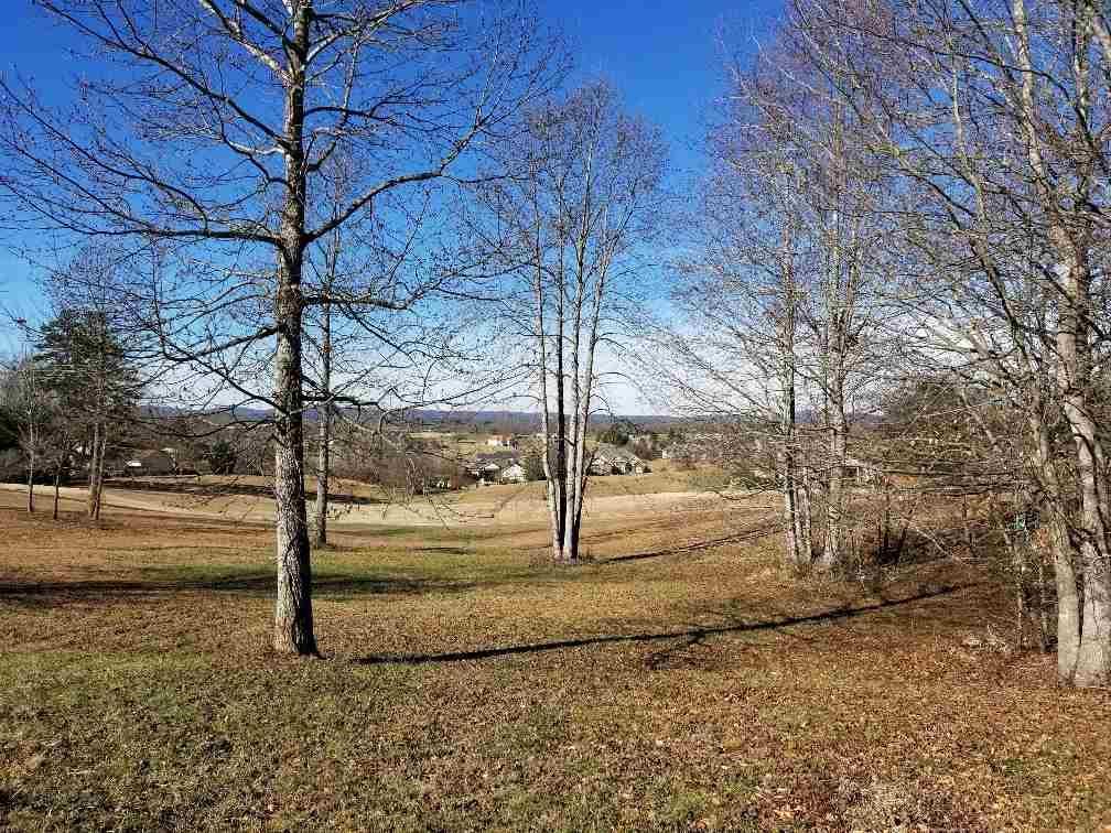 111 Falcons View Court - Photo 1