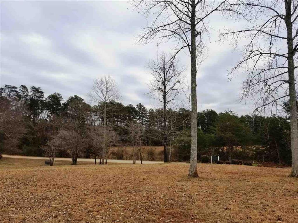102 Falcons View Court - Photo 1