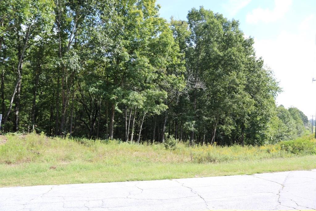 00 Hwy 123 & Watson Drive - Photo 1
