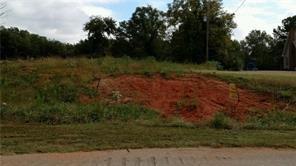 0 Blacksnake Road - Photo 1