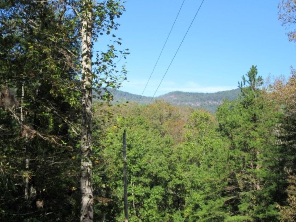 128 Doe Run - Photo 1