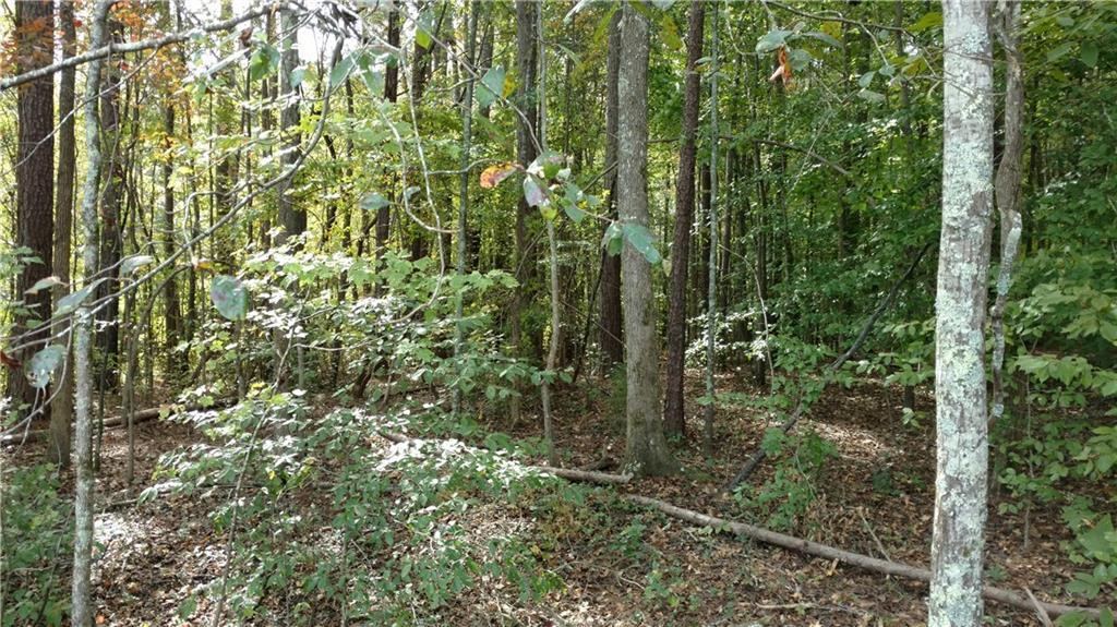 part of 28 Krismark Trail Trail - Photo 1 part of 28 Krismark Trail Trail - Photo 1