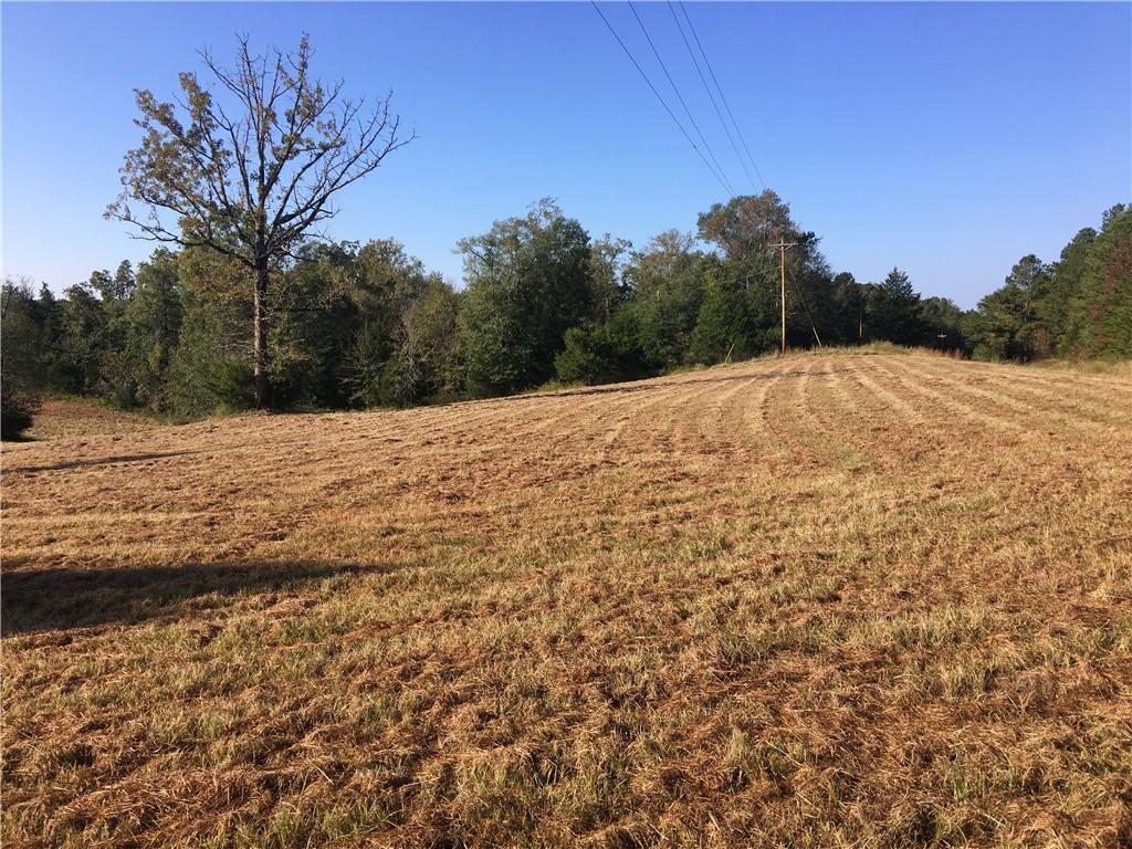 263 Tom Young Bridge Road - Photo 1