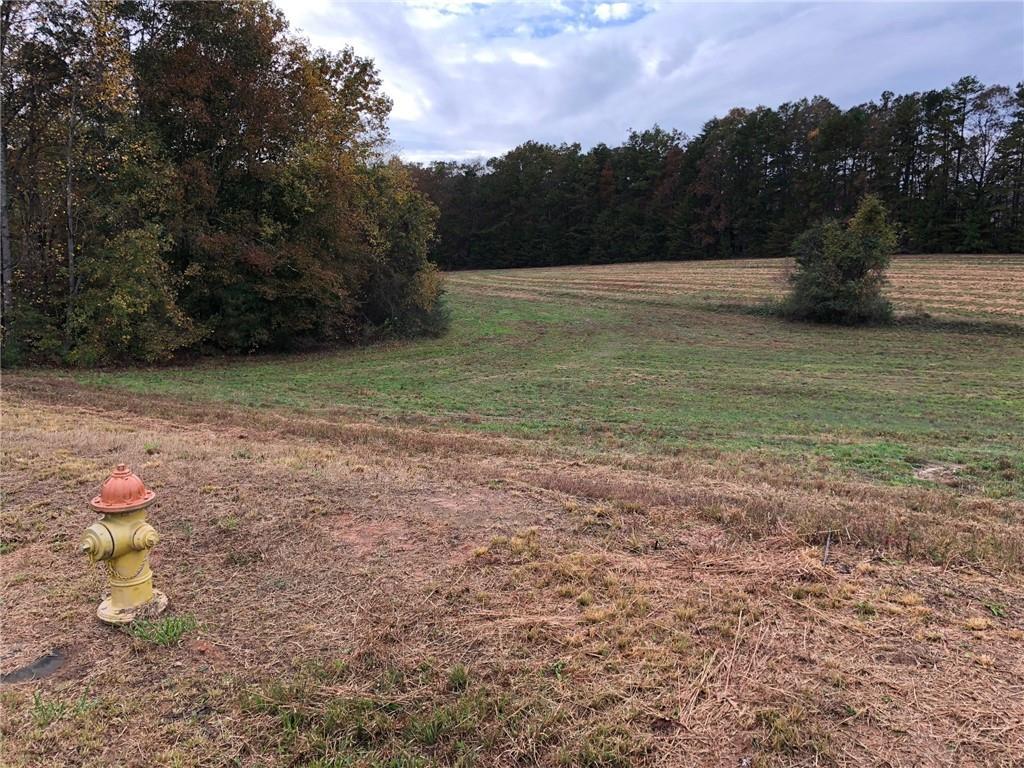 Lot 36 Falcons Lair West Drive - Photo 1