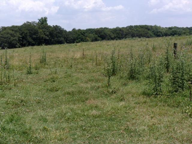 6850 Highway 29 Highway - Photo 1