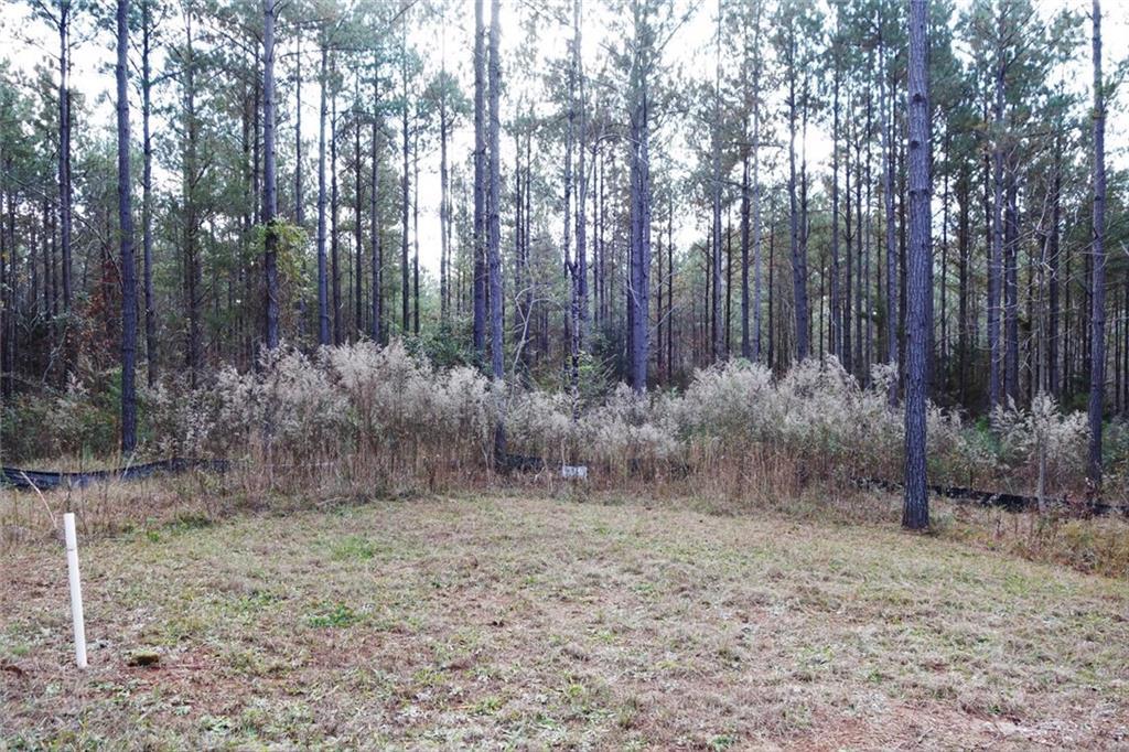 Lot 143 Keowee Pass Trail - Photo 1