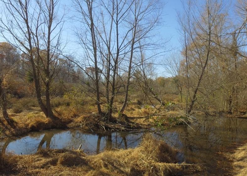 0 Hwy 71 - Photo 1