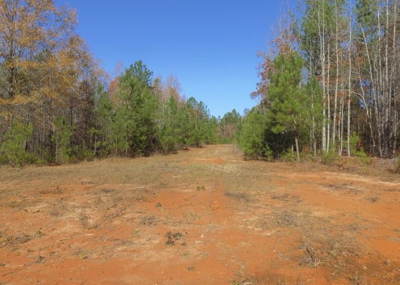 0 Pecan Road - Photo 1