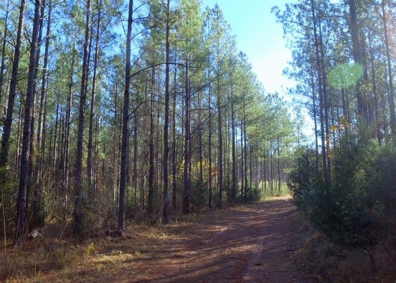 0 Gassoway Farm Road - Photo 1