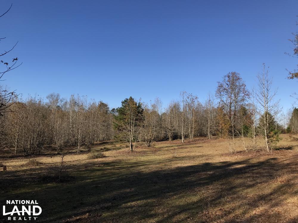 607 Welpine Drive - Photo 1