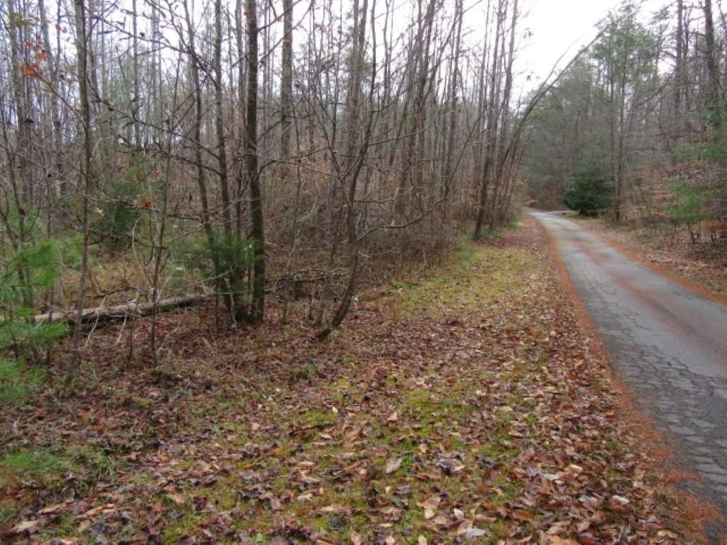 128 Willys Creek Circle - Photo 1