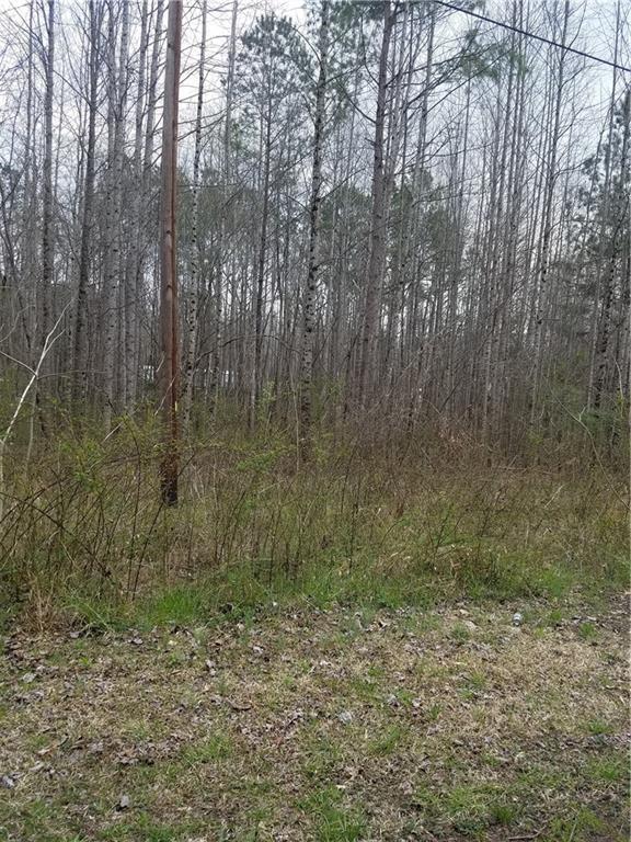 Tract B Chesapeake Trail - Photo 1