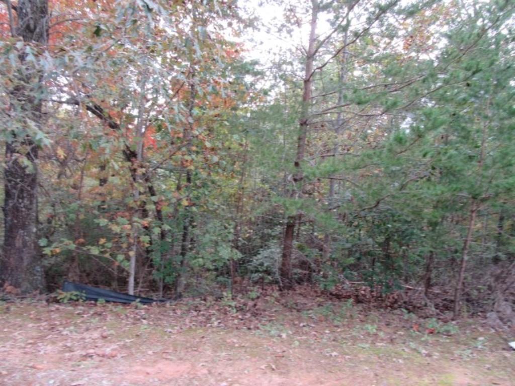 329 Woodmere Drive - Photo 1