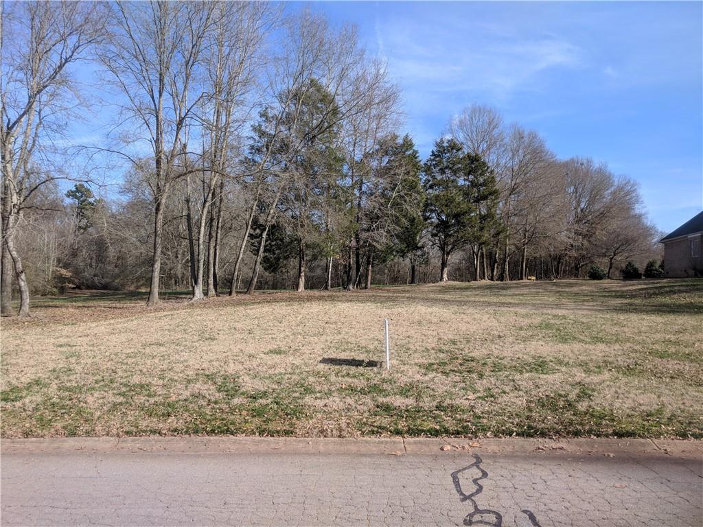 110 Vinings Crossing - Photo 1