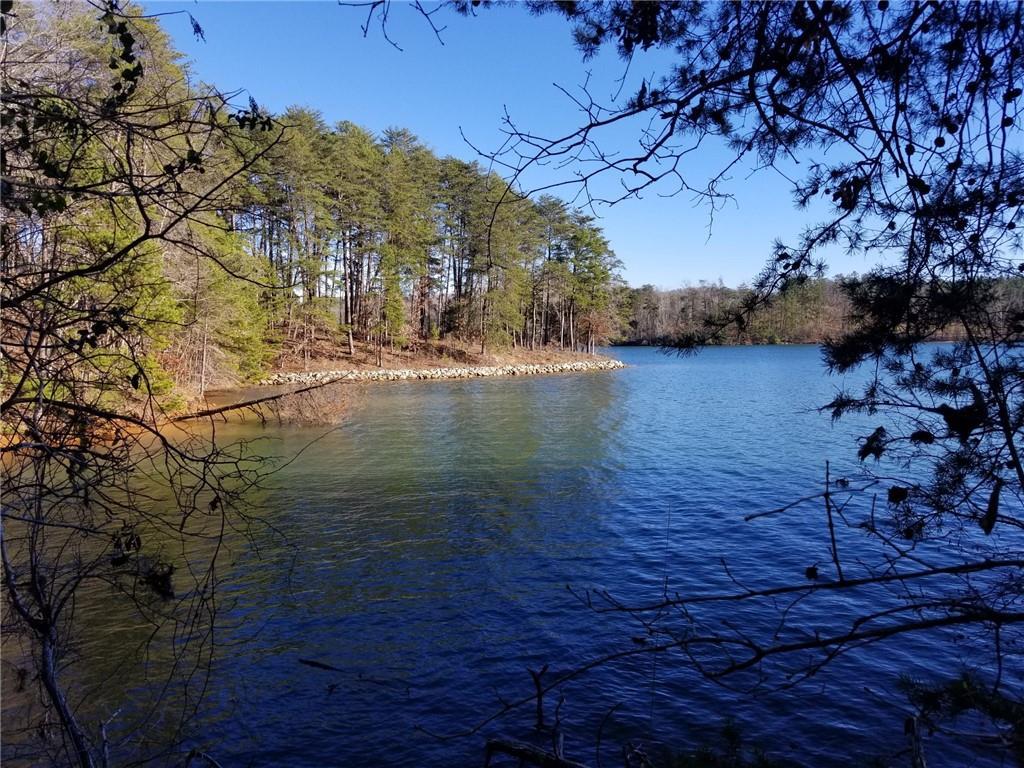 431 Peninsula Ridge Drive - Photo 1