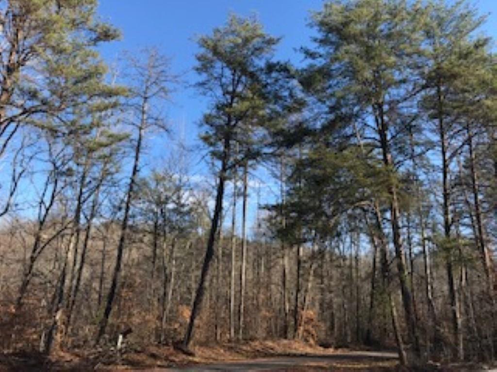170 Lake Circle Road - Photo 1