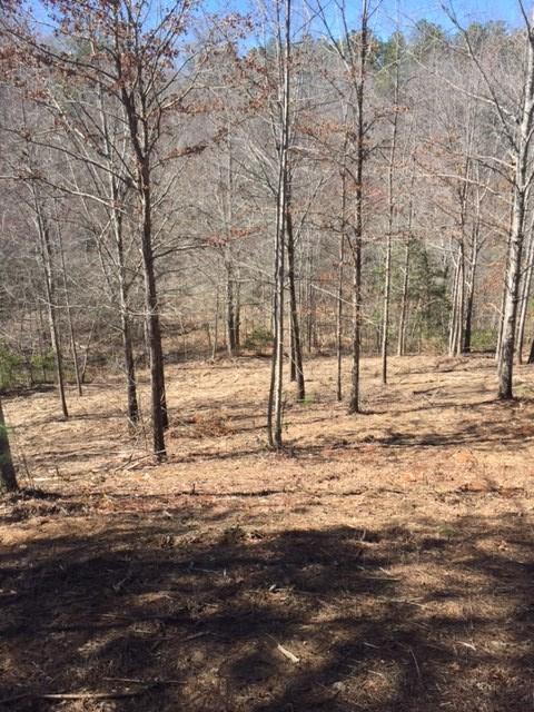 HR 86 Briarberry Court - Photo 1