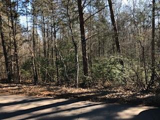 121 Mill Pond Road - Photo 1