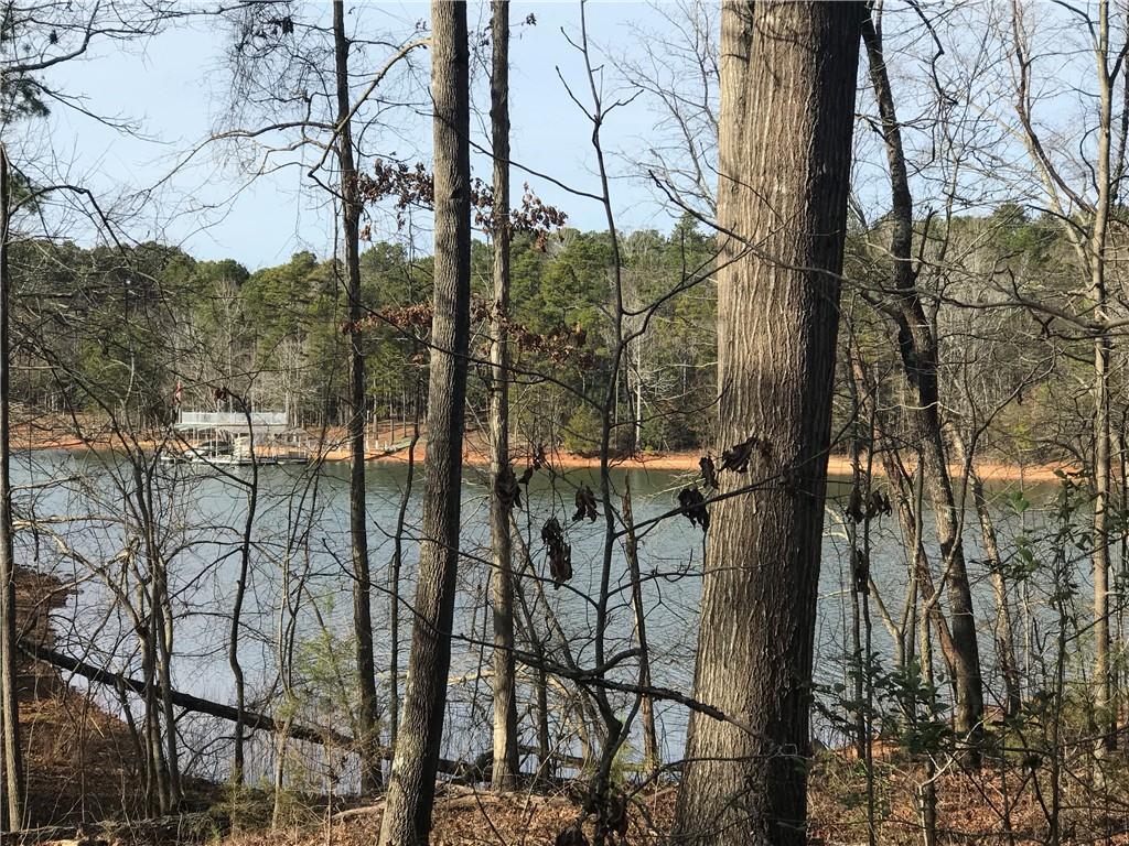 000 Reed Creek Highway - Photo 1