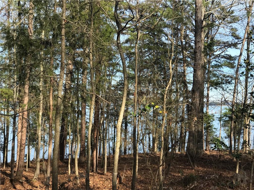 000 Reed Creek Highway - Photo 1