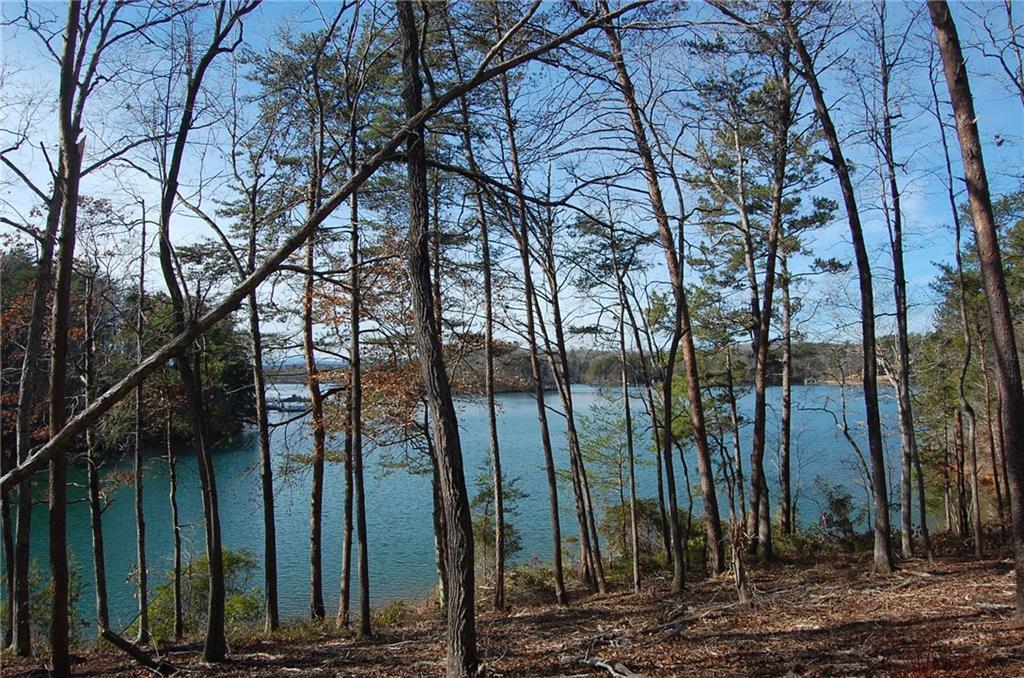Lot 32 Squirrel Point - Photo 1