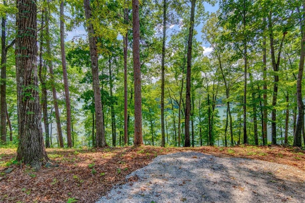 672 Crystal Cove Trail - Photo 1