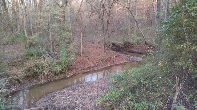TBD Parker Bowie Road - Photo 1