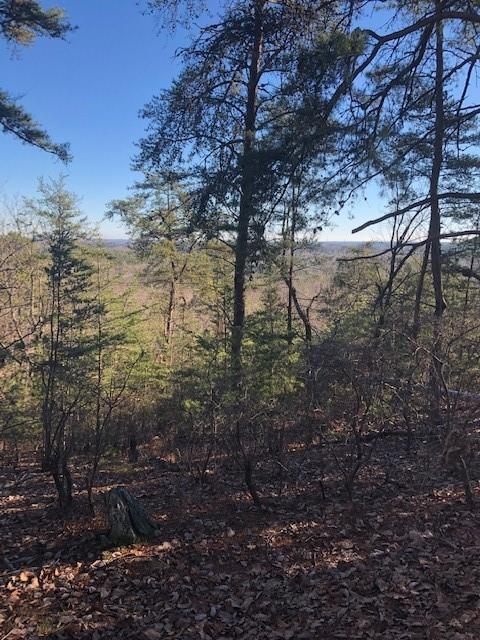S51 Stone Terrace Way - Photo 1