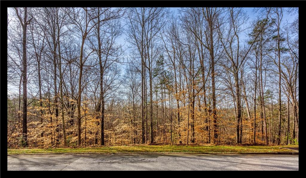00 Willow Wood Court Court - Photo 1