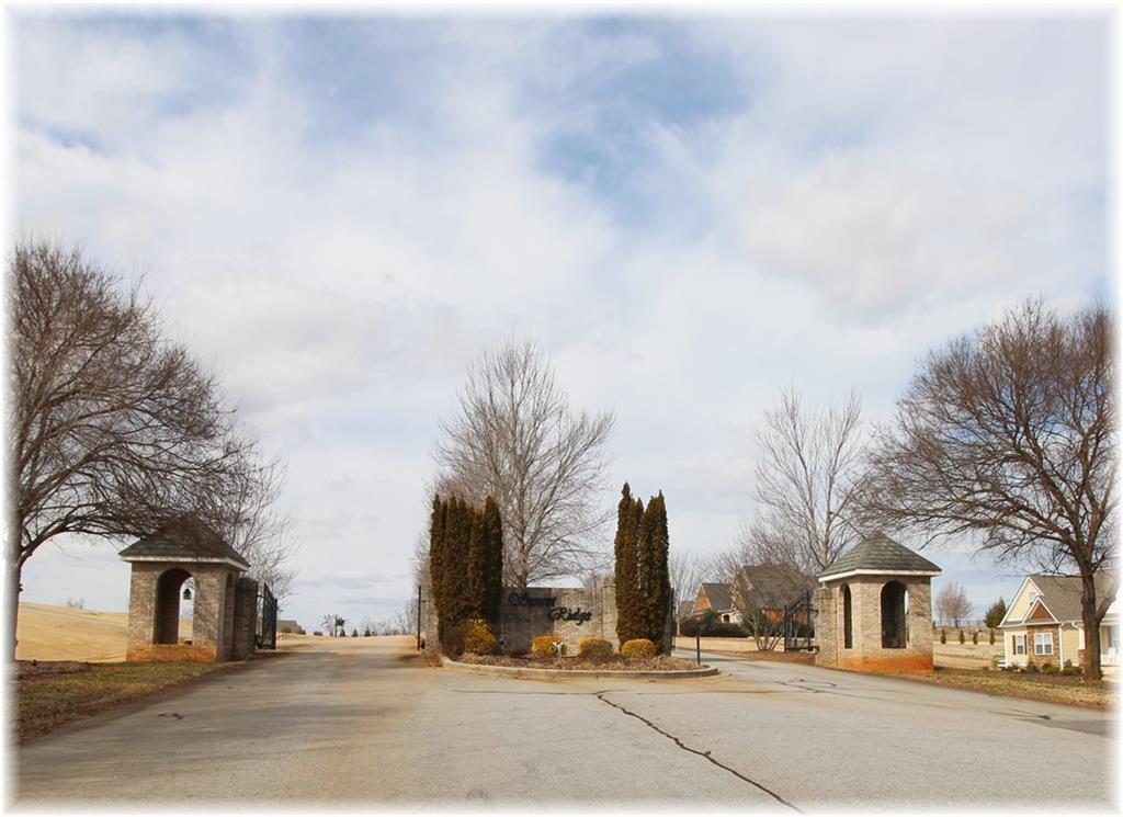 Lot 19 Paramount Drive - Photo 1