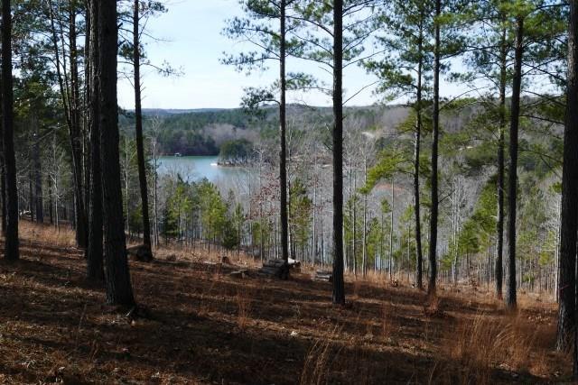 Lot 54 Highland Ridge Road - Photo 1