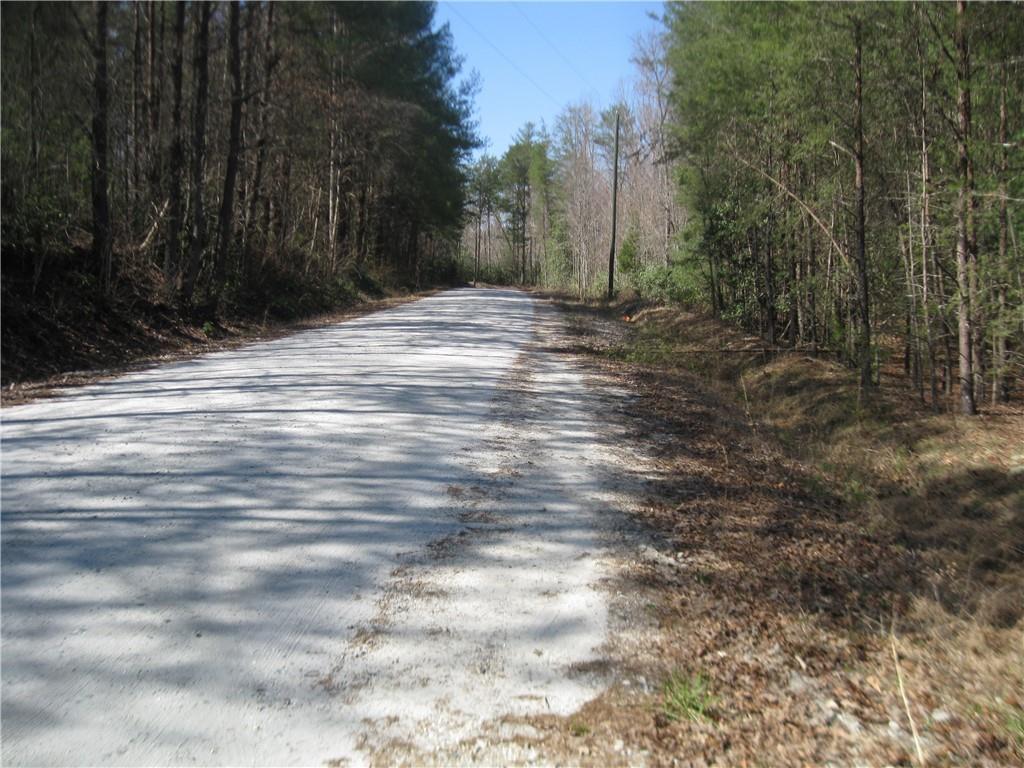 00 Talley Road - Photo 1