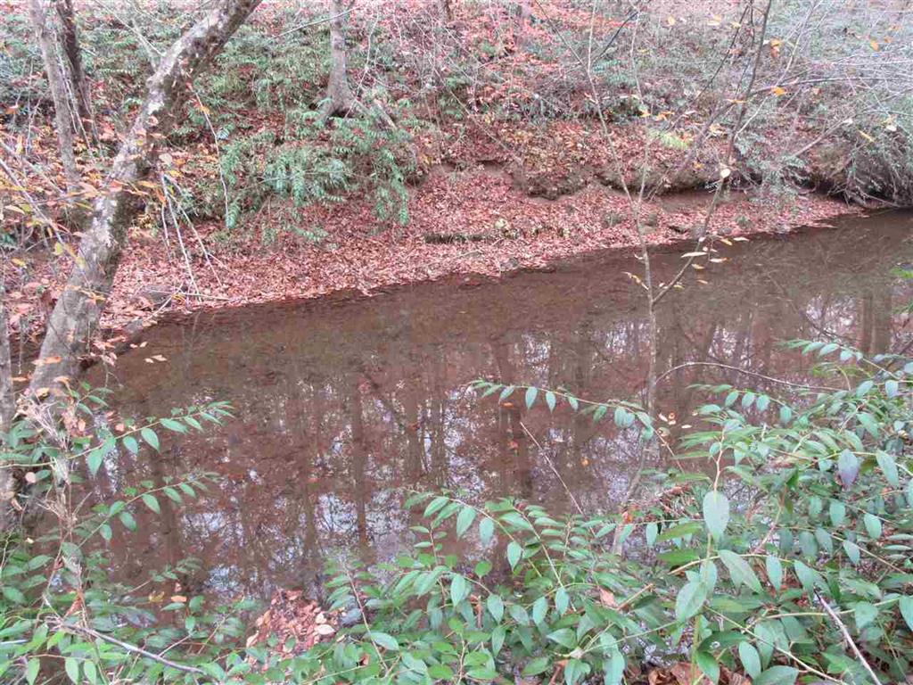 187 Possum Holler Road - Photo 1
