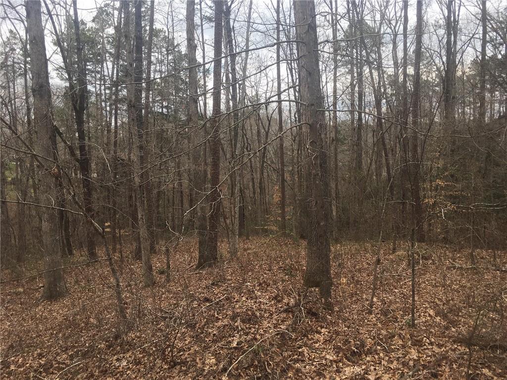 825 Armada Way - Photo 1
