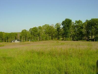 Lot 7 Arrowhead Lake Farms Trail - Photo 1