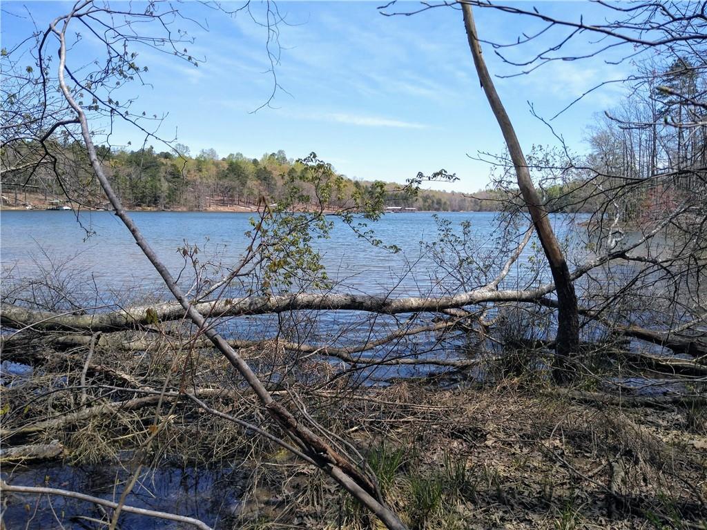 Tract 30 Chateau Estates Road - Photo 1