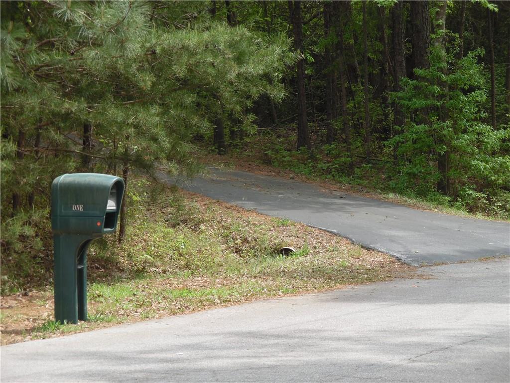 1 Osceola Trail Trail - Photo 1