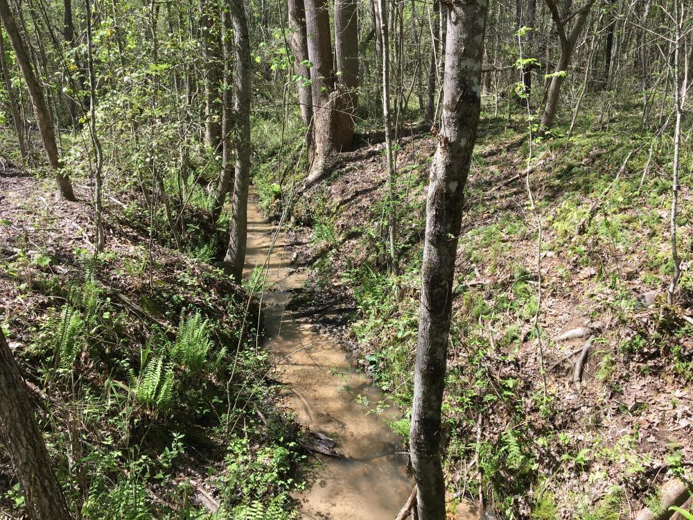 0 Old Plantation Road - Photo 1