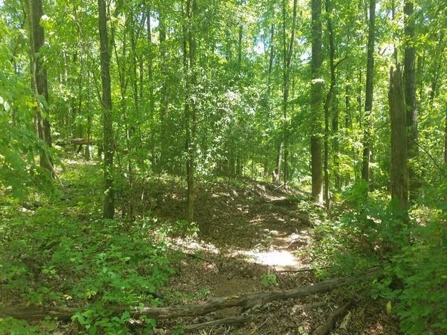Lot 13 Waterford Ridge - Photo 1