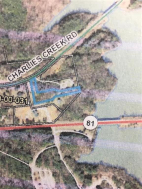 00 Charlies Creek Road - Photo 1