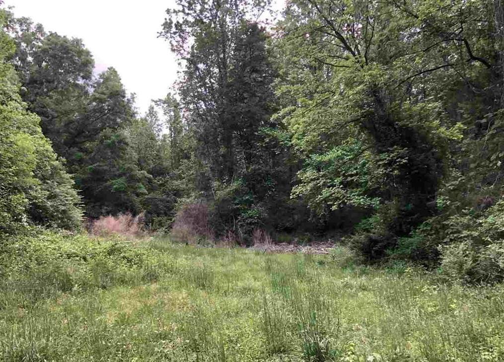 00 Johnson Road - Photo 1