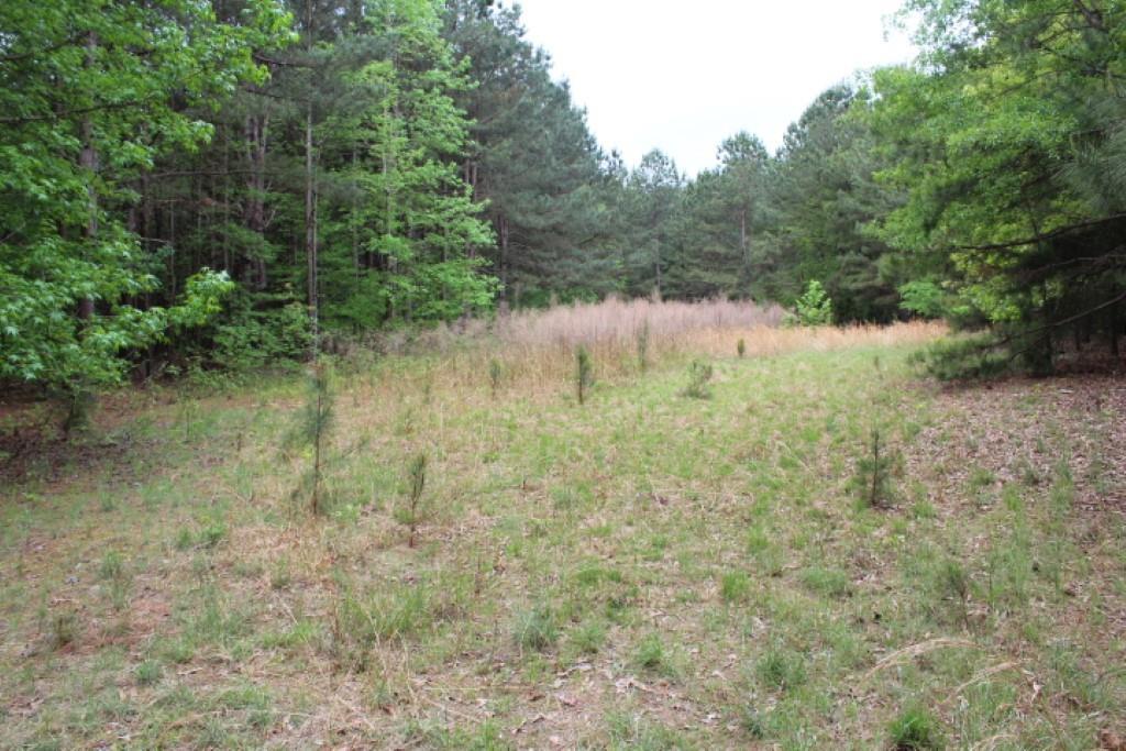 00 Belton Honea Path Highway - Photo 1