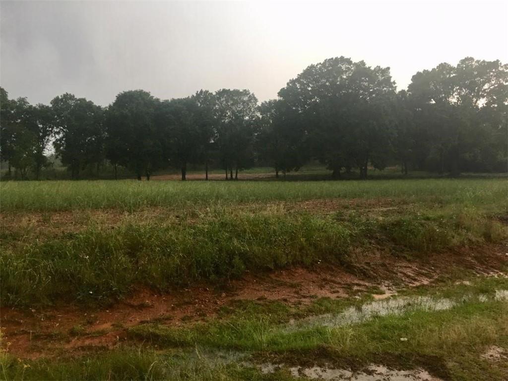 8010 Hwy 81 South - Photo 1
