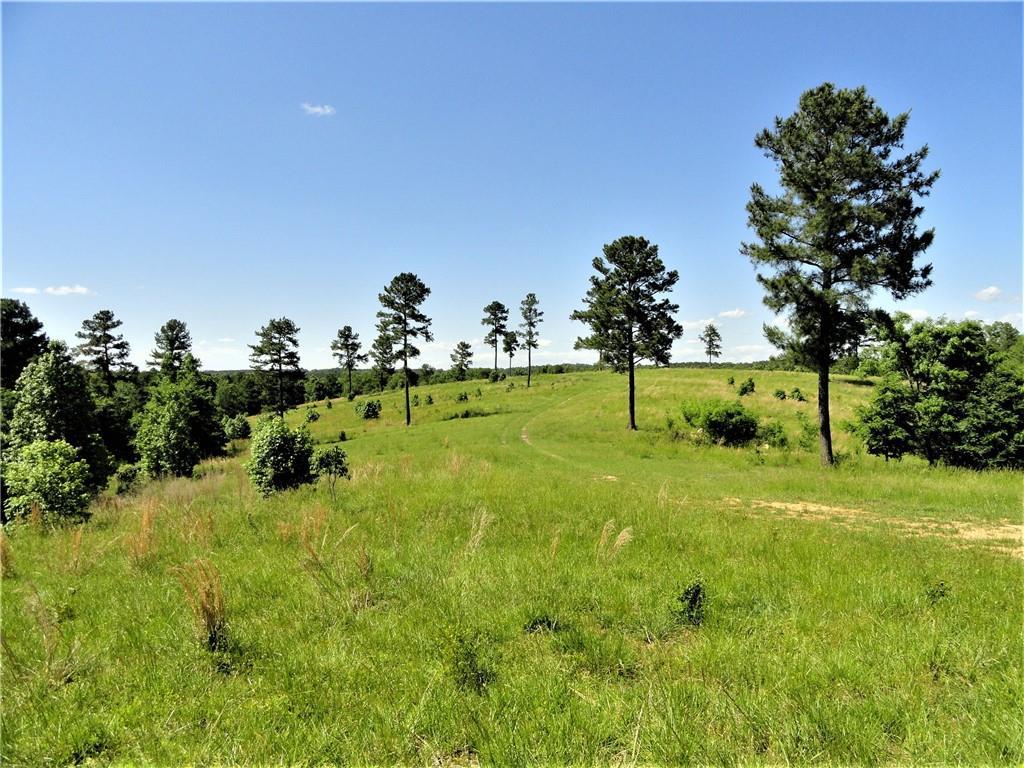 2518 Ridge Road - Photo 1