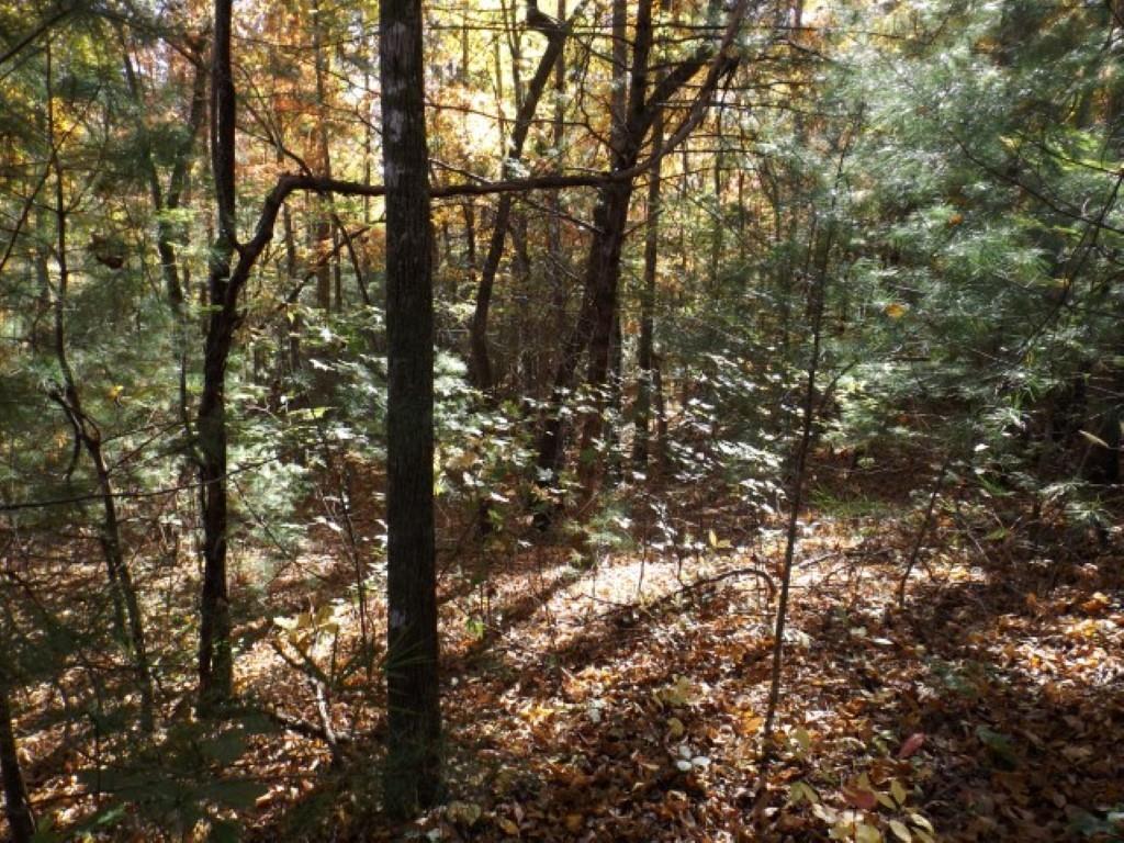111 Rocky Road - Photo 1