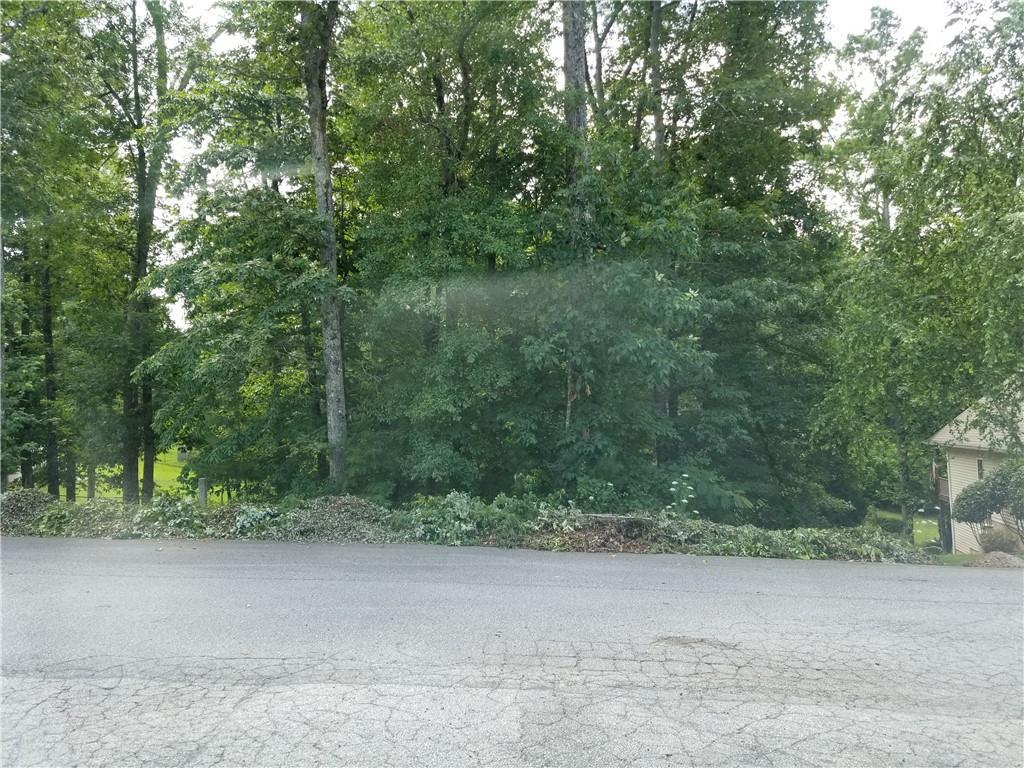 Lot 20 Peterson Road - Photo 1
