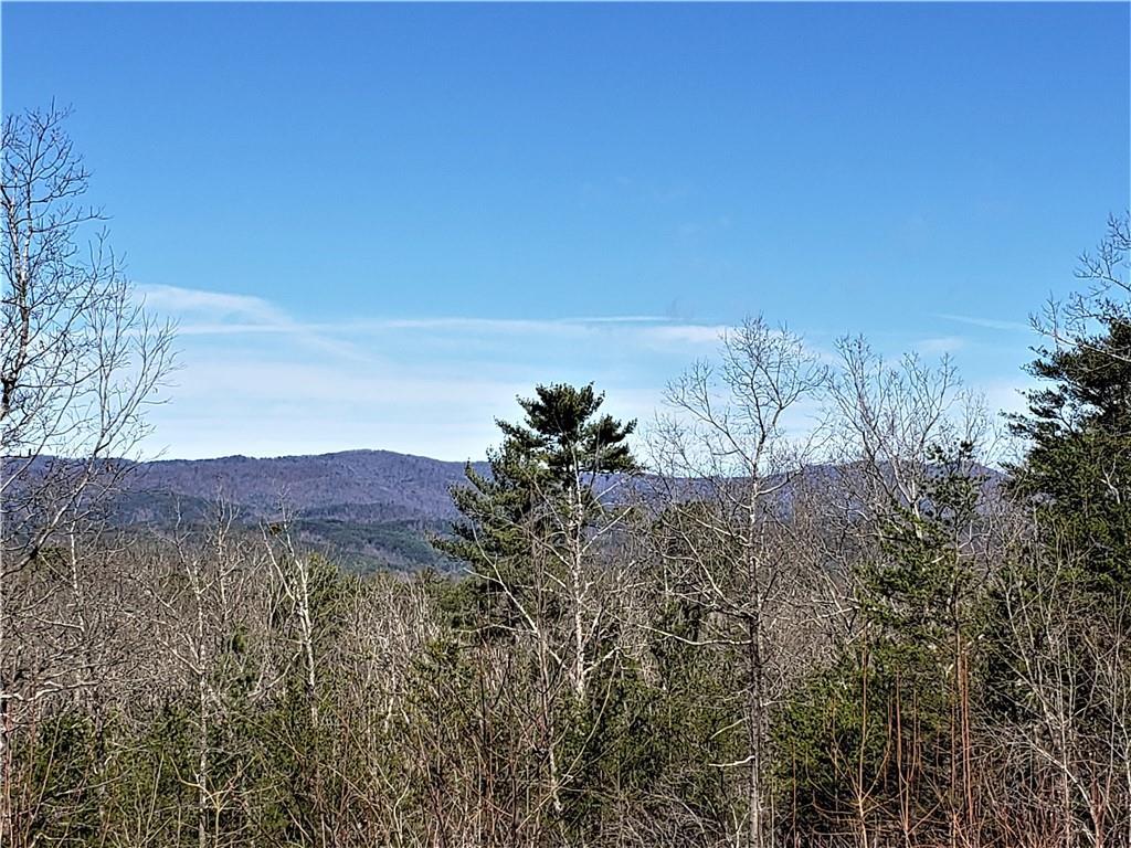 217 Whitewater Falls Road - Photo 1